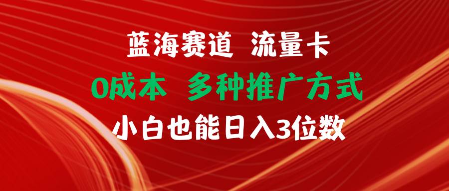 蓝海赛道 流量卡 0成本 小白也能日入三位数-无痕资源